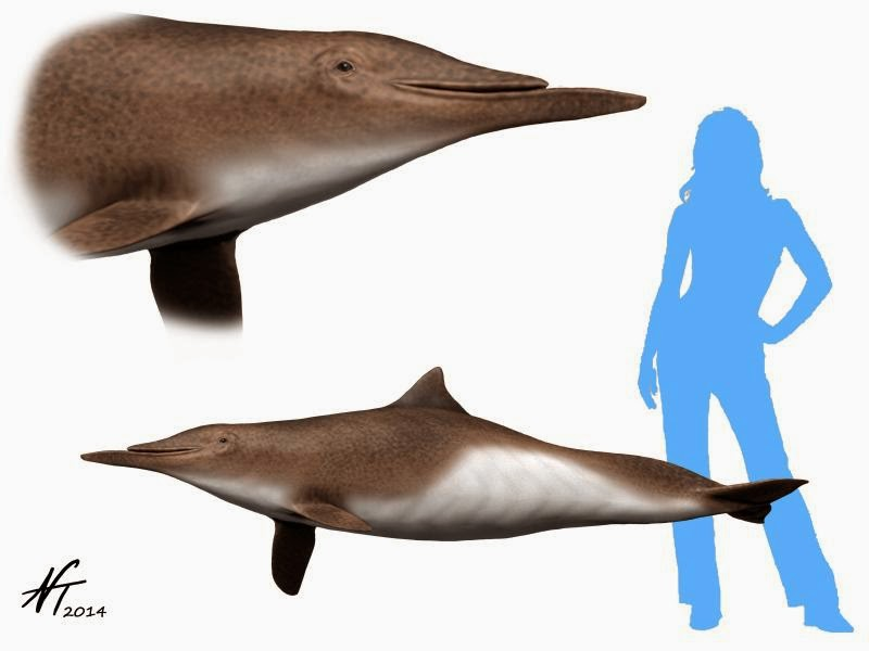 Illustration for article titled Why you should fund a paleontology project